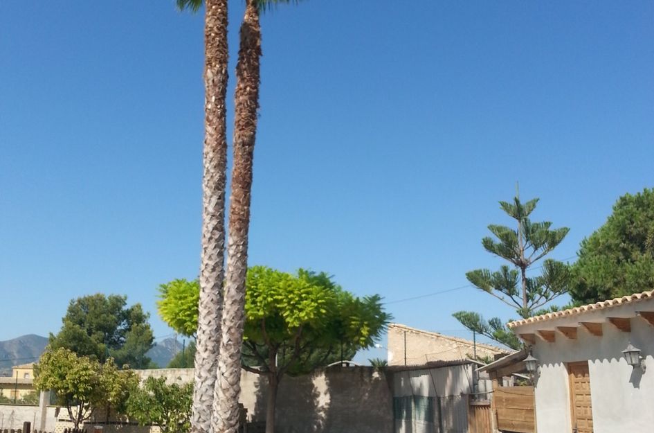 Villa in Los Batistes