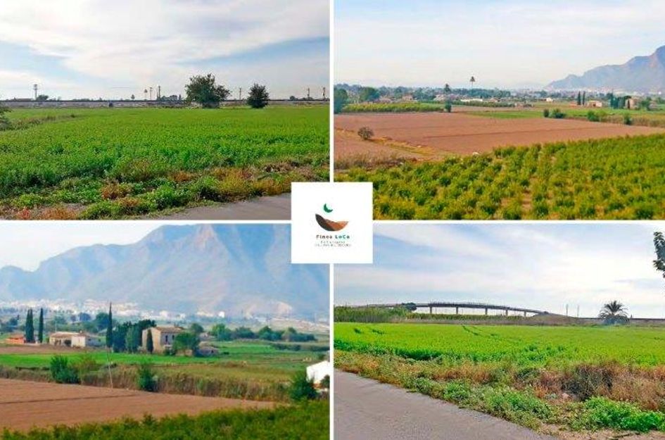 Finca in Callosa de Segura