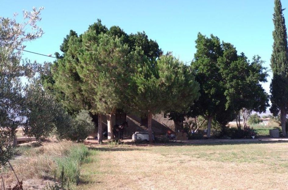 Finca in Callosa de Segura