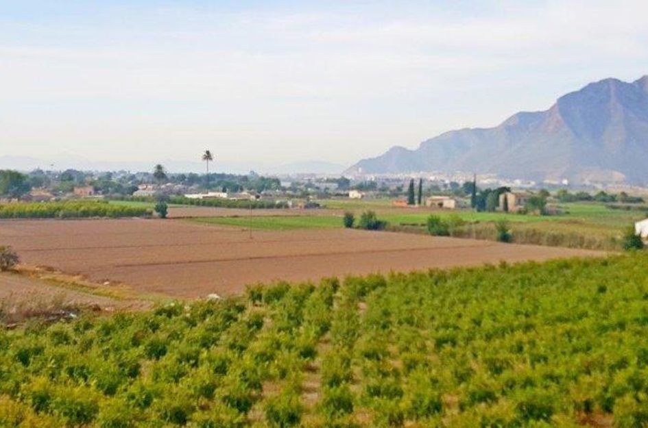 Finca in Callosa de Segura