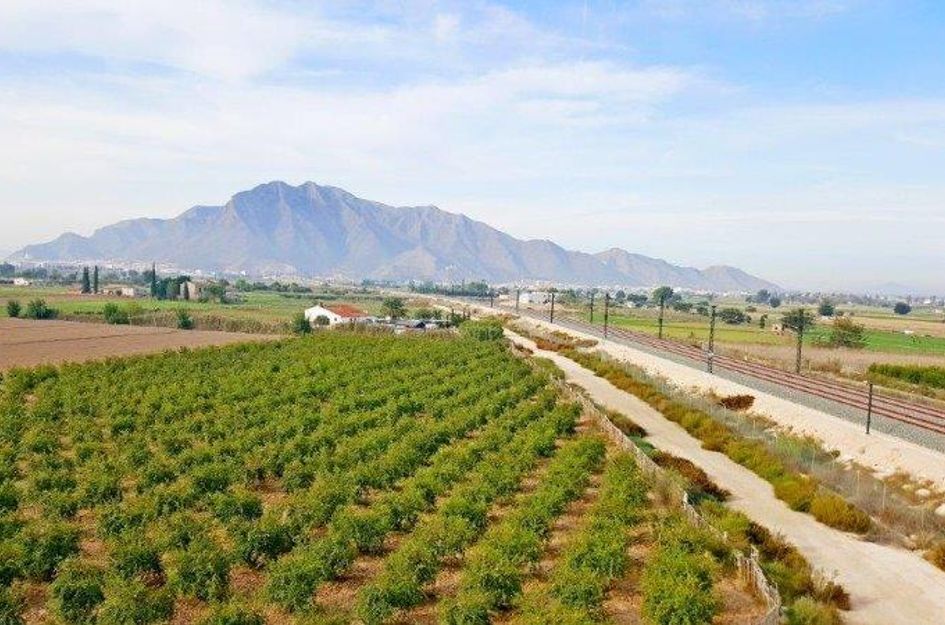 Finca in Callosa de Segura