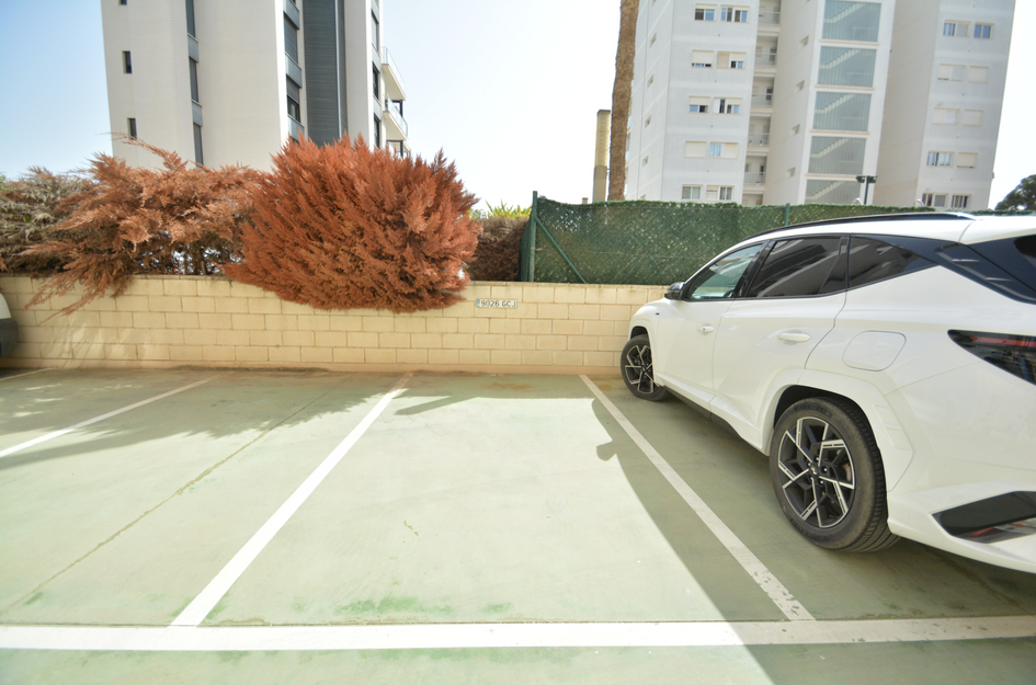 Appartement in Guardamar del Segura