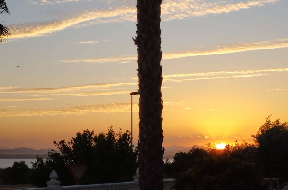 Villa in Torrevieja