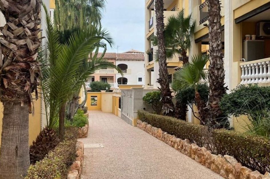 Appartement in Torrevieja