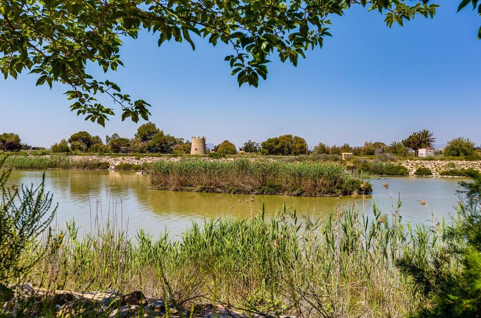 Villa in San Fulgencio