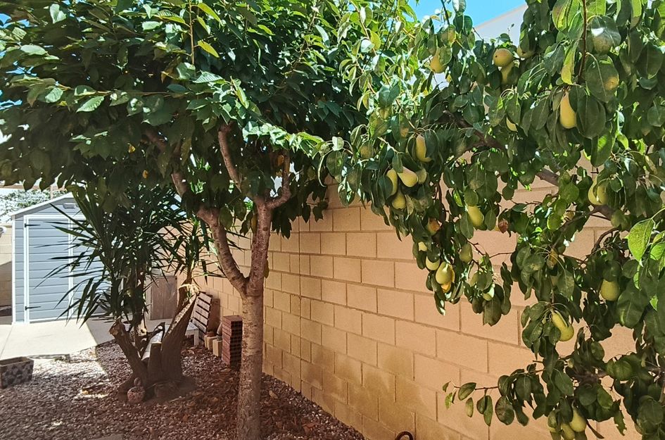 Villa in Los Batistes