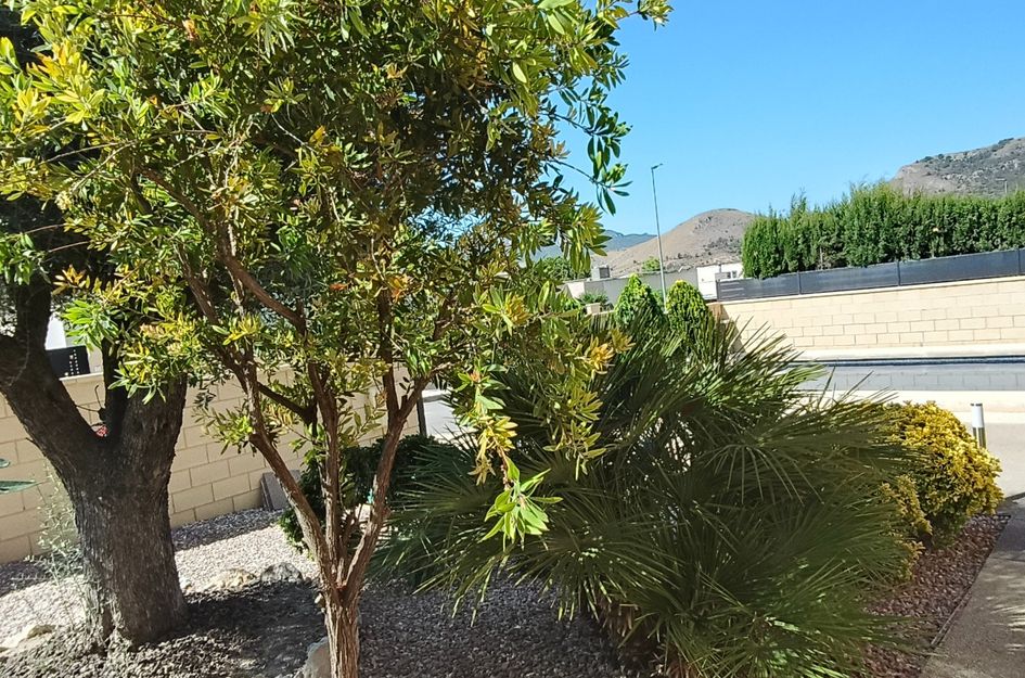 Villa in Los Batistes