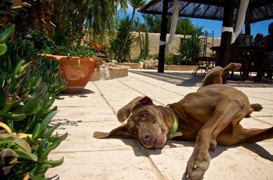 Finca in Ermita de Pinos