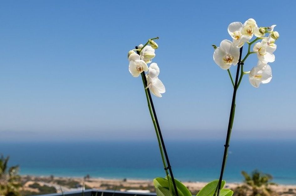 Appartement in Santa Pola