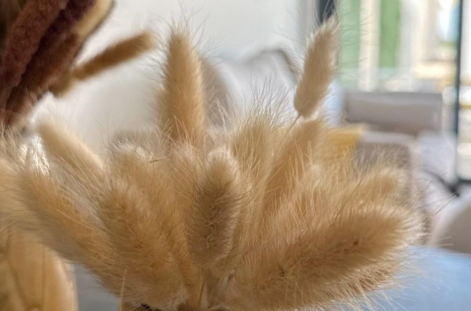 Bungalow in San Fulgencio