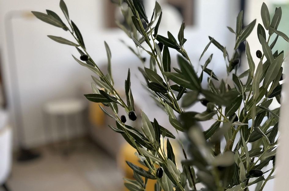 Bungalow in San Fulgencio