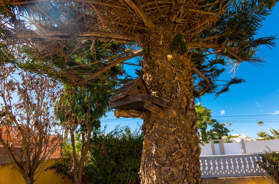 Villa in El Chaparral