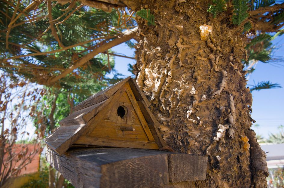Villa in El Chaparral