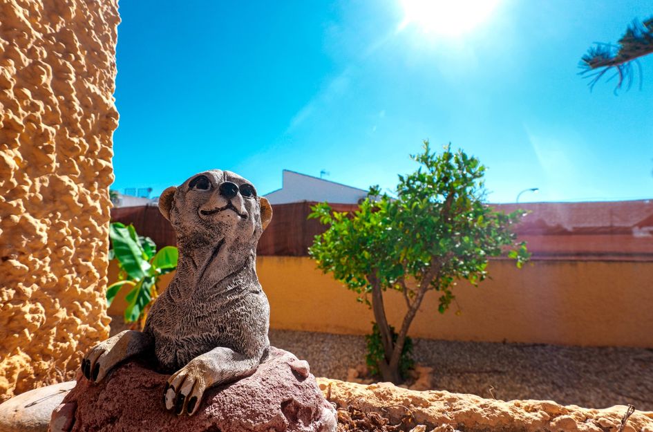 Villa in El Chaparral