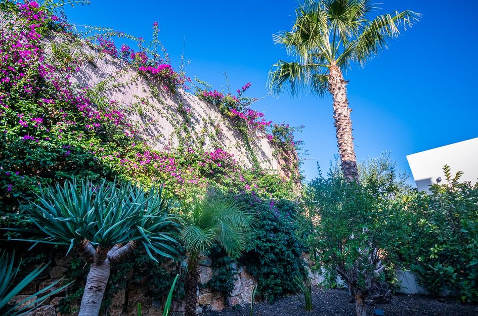 Villa in Castillo de Montemar