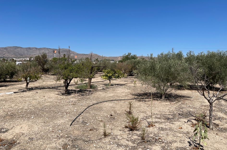 Villa in La Estación