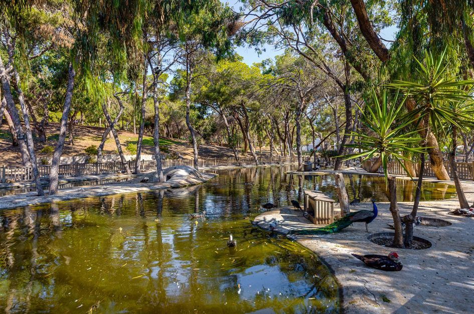Appartement in Guardamar del Segura