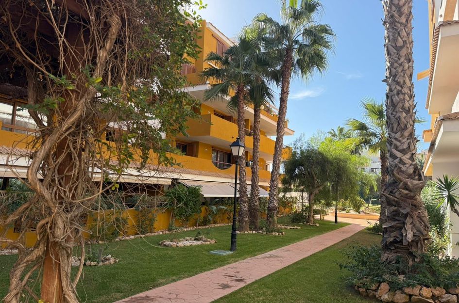 Appartement in Torrevieja