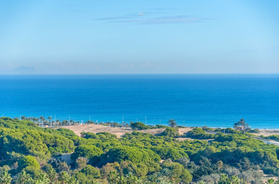 Penthouse in Gran Alacant