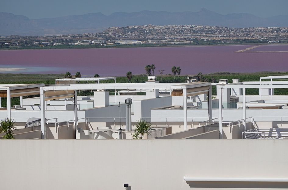 Appartement in Torrevieja