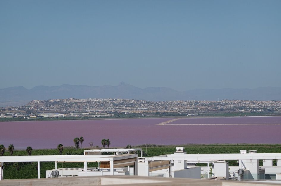 Appartement in Torrevieja