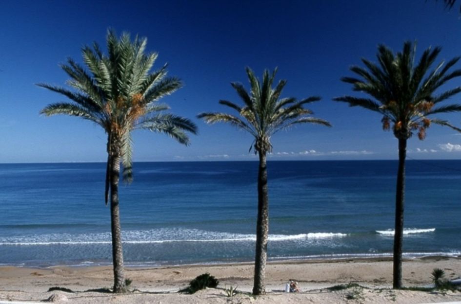 Bungalow in Torre de la Horadada