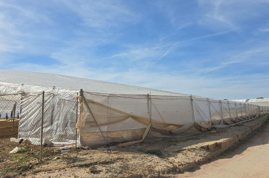 Huis in Mil Palmeras