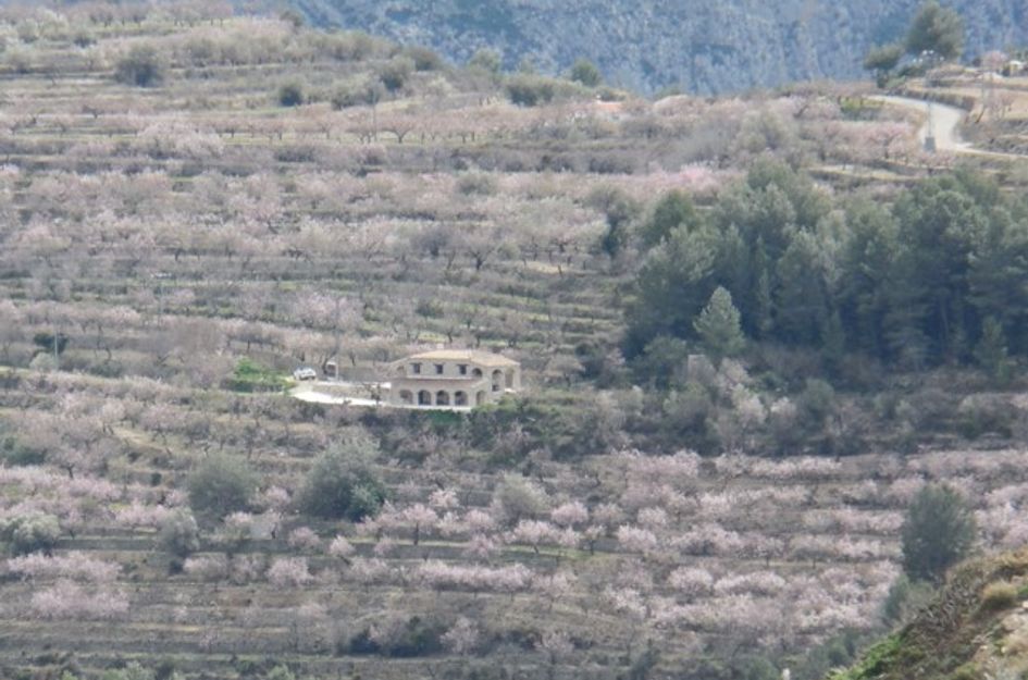 Finca in Tàrbena