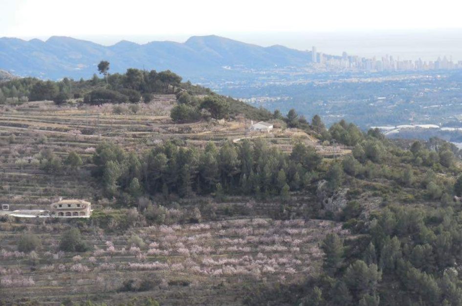 Finca in Tàrbena