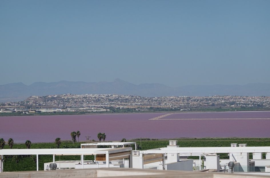 Appartement in Torrevieja