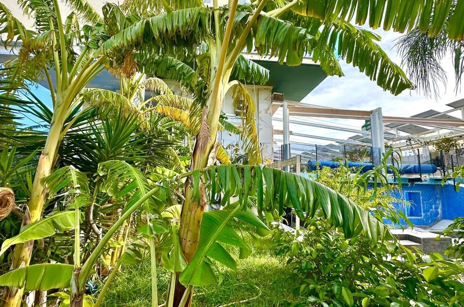 Appartement in Golf Badia