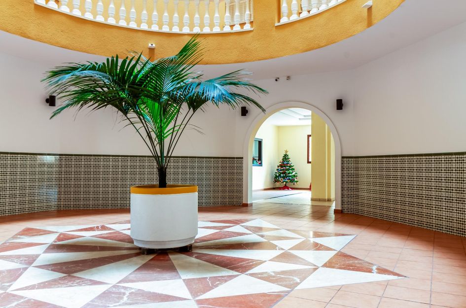 Appartement in Torrevieja