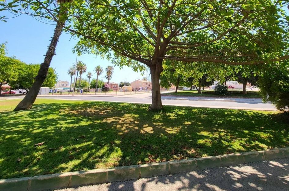 Appartement in Torrevieja