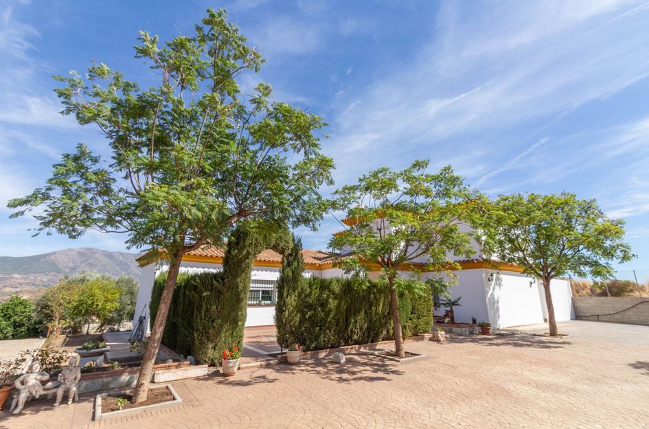 Finca in Marbella