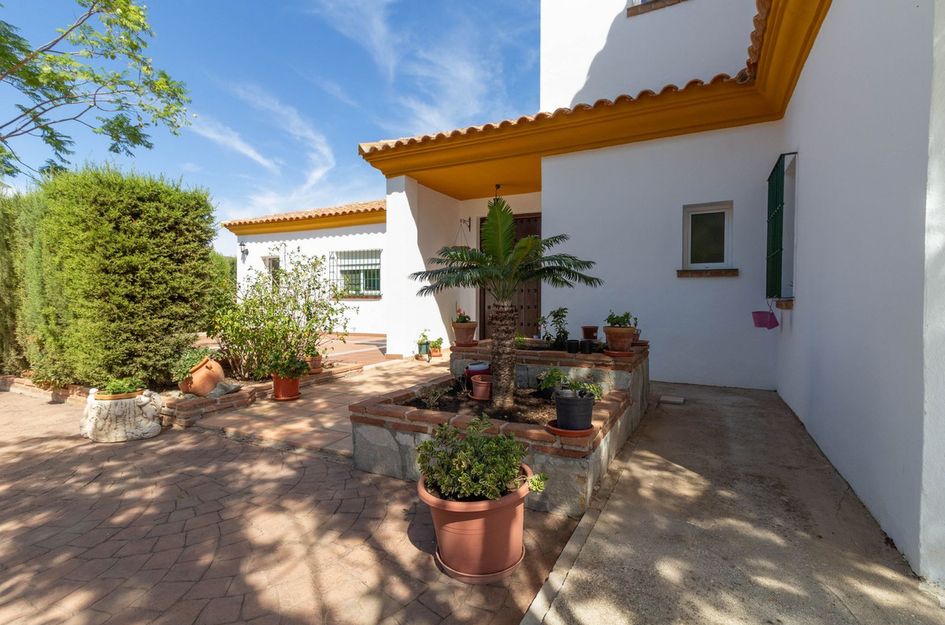 Finca in Marbella
