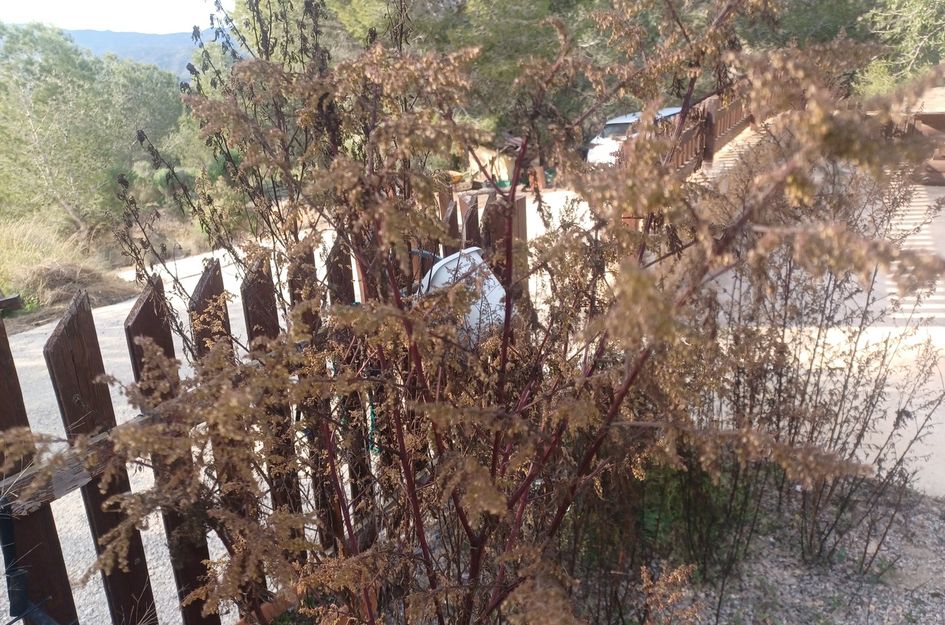 Finca in Gea y Truyols