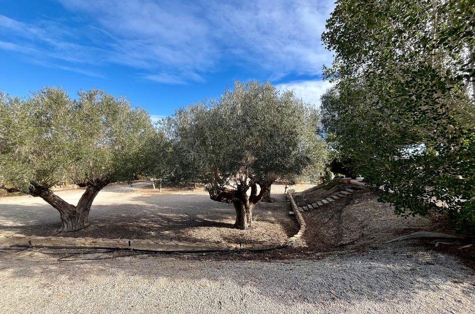 Huis in El Esparragal