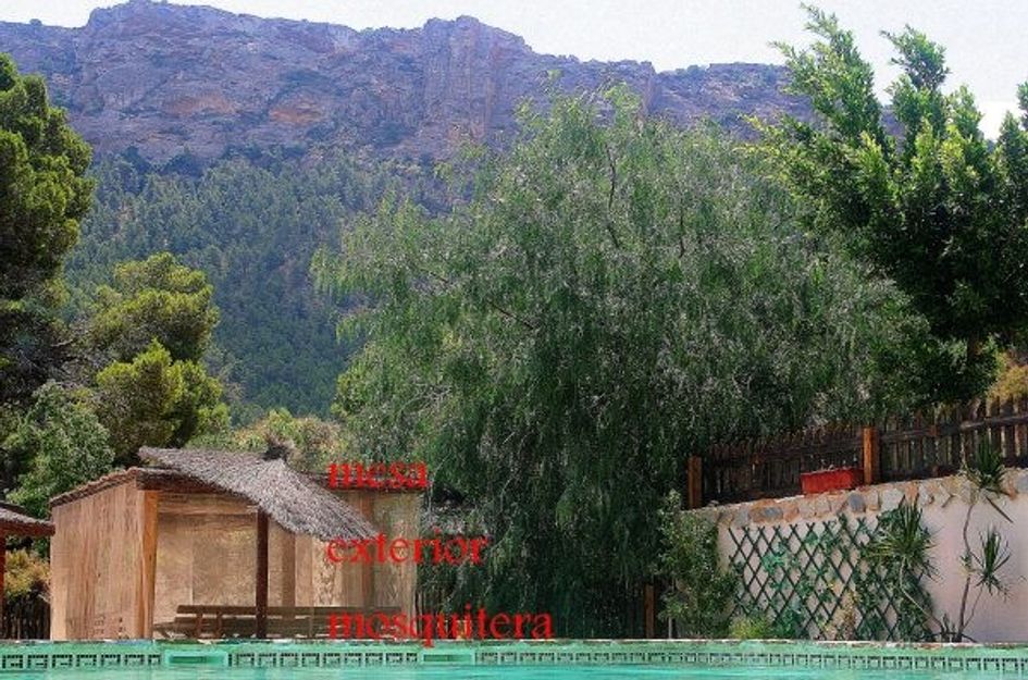 Huis in Cañadas de San Pedro