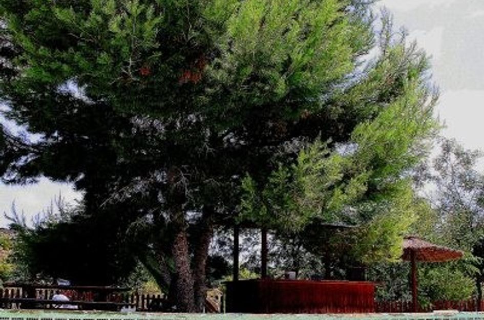 Huis in Cañadas de San Pedro