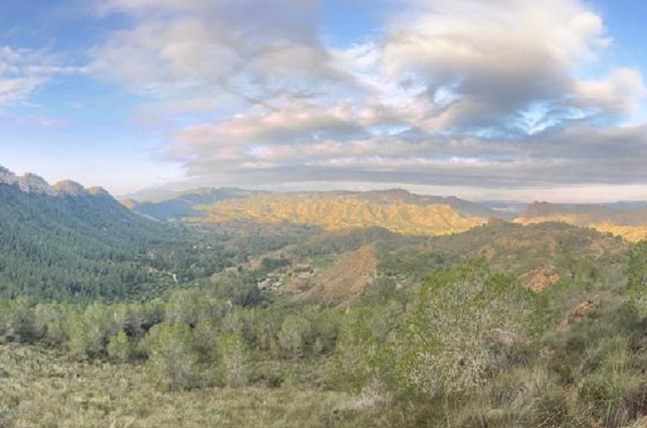Huis in Cañadas de San Pedro