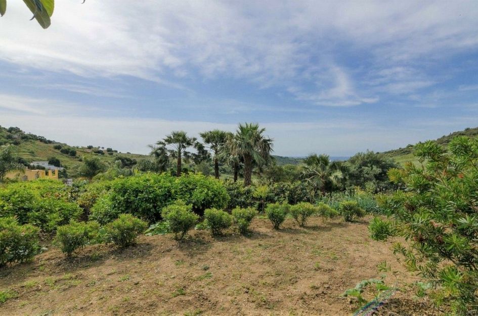 Finca in Urbanización Puerto de Estepona