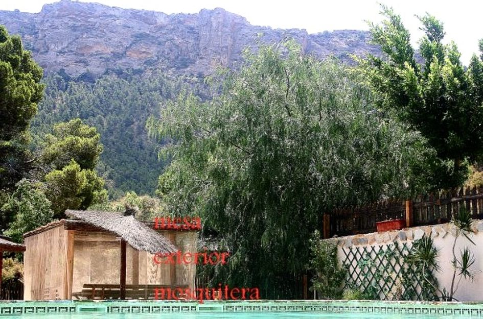 Huis in Cañadas de San Pedro