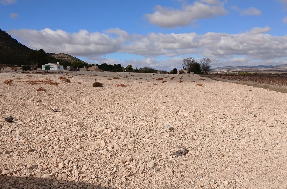 Perceel in Yecla