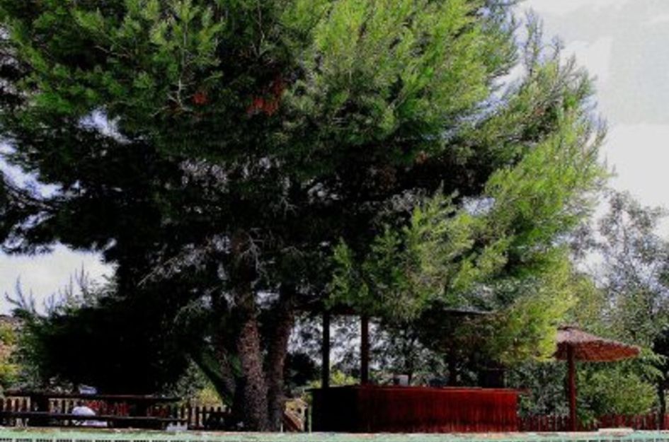 Finca in Gea y Truyols