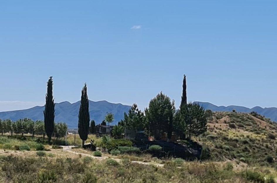 Villa in Cañadas de San Pedro