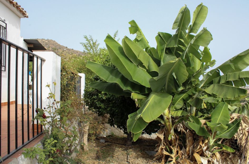 Villa in Nerja