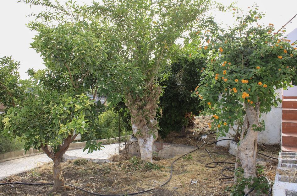 Villa in Nerja