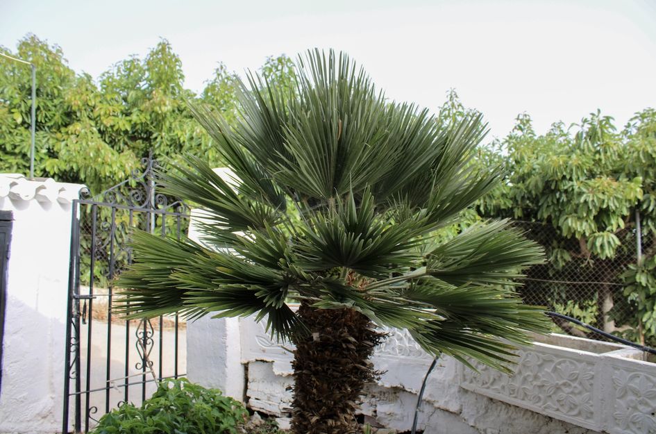 Villa in Nerja