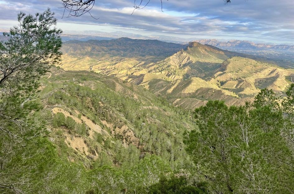 Finca in Gea y Truyols