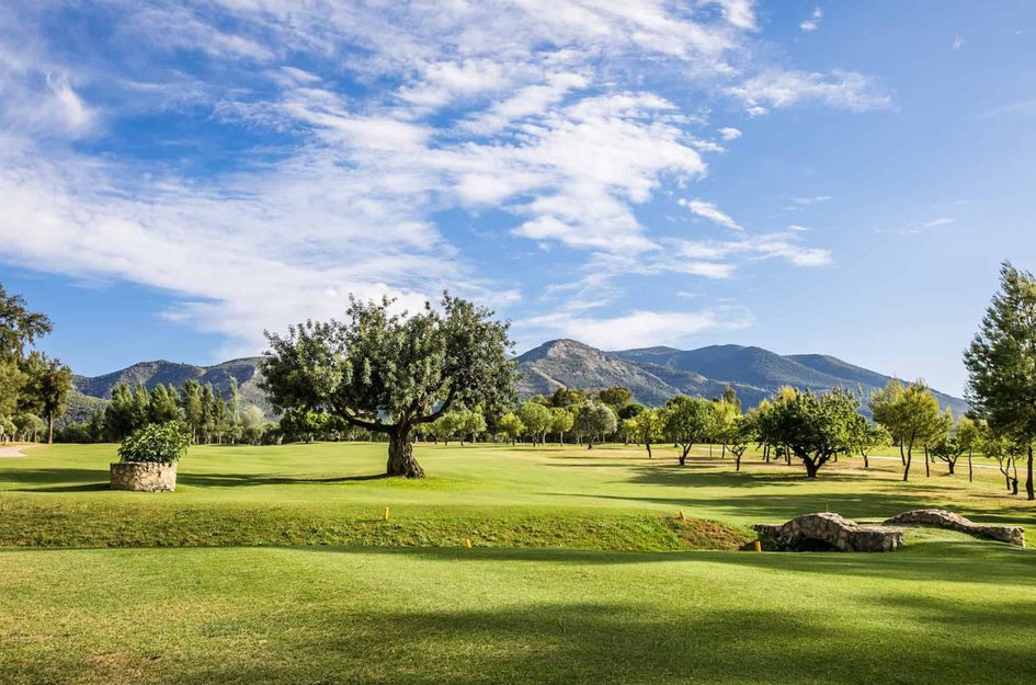 Villa in Alhaurín de la Torre